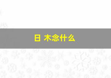 日 木念什么